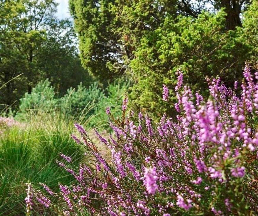 شقة Schaapskooi 20 دفينخيلو المظهر الخارجي الصورة