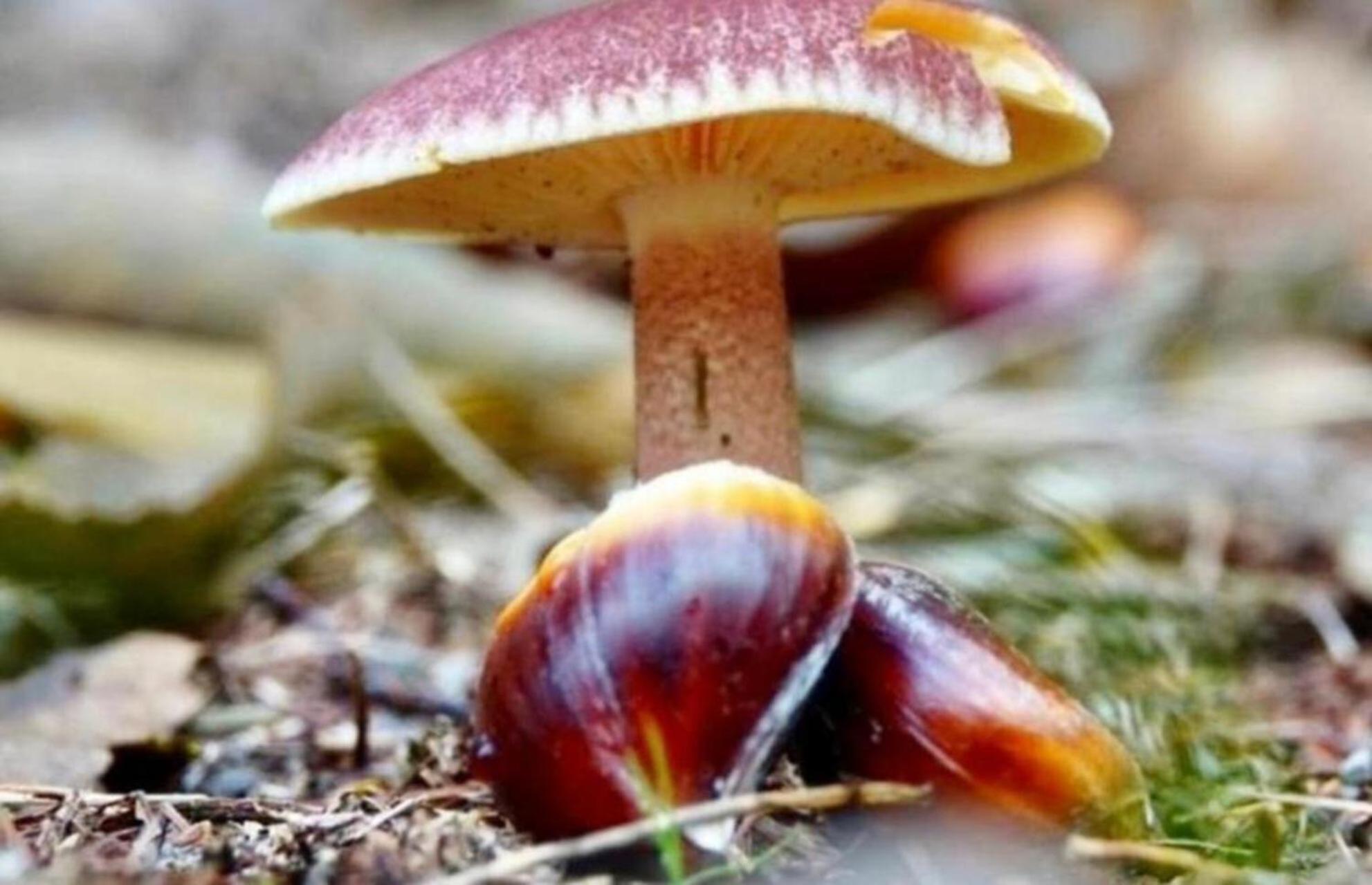 شقة Schaapskooi 20 دفينخيلو المظهر الخارجي الصورة